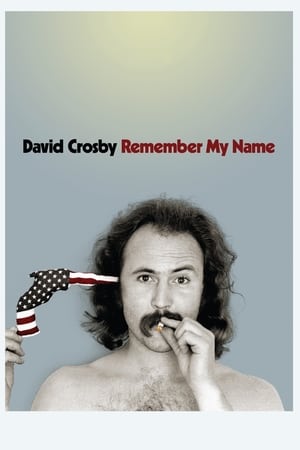 watch David Crosby: Remember My Name