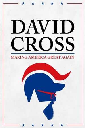 watch David Cross: Making America Great Again