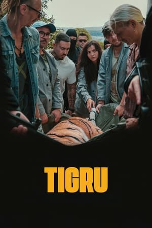 watch Day of the Tiger