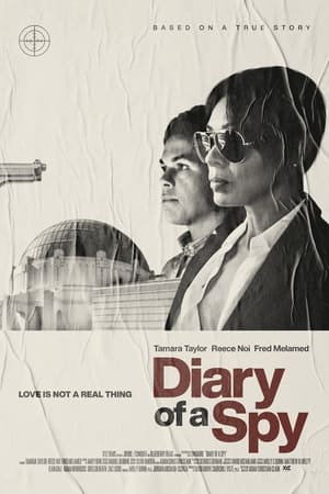 watch Diary of a Spy