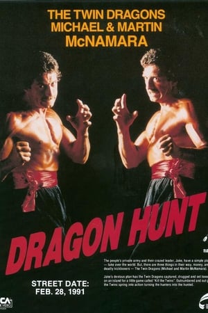 watch Dragon Hunt