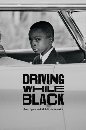 watch Driving While Black: Race, Space and Mobility in America