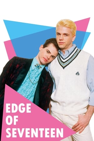 watch Edge of Seventeen