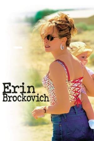 watch Erin Brockovich