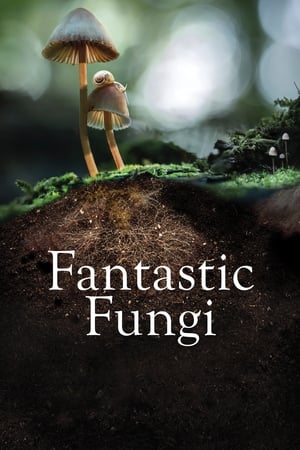 watch Fantastic Fungi