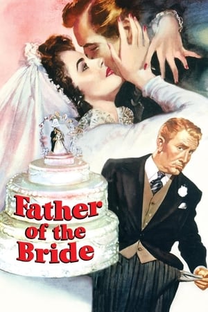 watch Father of the Bride