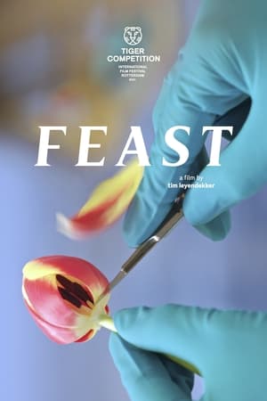 watch Feast