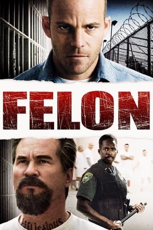 watch Felon