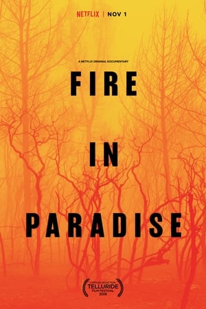 watch Fire in Paradise