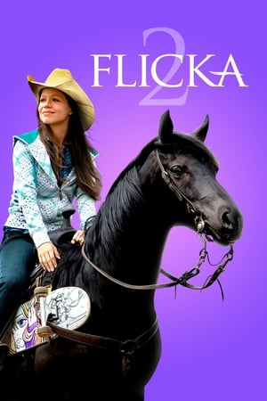 watch Flicka 2