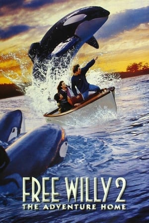 watch Free Willy 2: The Adventure Home