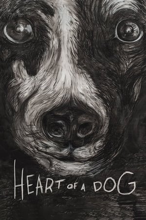 watch Heart of a Dog