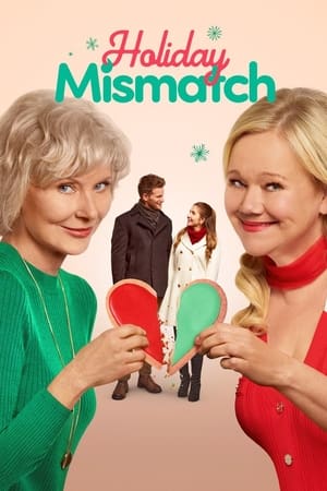 watch Holiday Mismatch