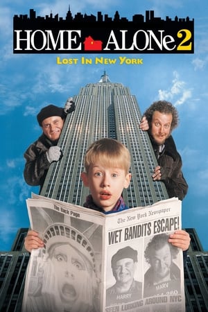 watch Home Alone 2: Lost in New York