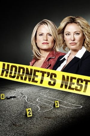 watch Hornet's Nest