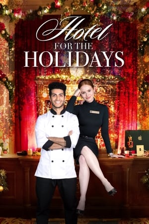 watch Hotel for the Holidays