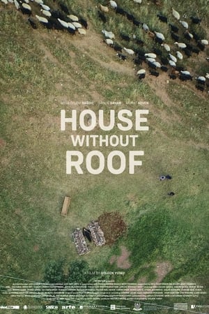 watch House Without Roof