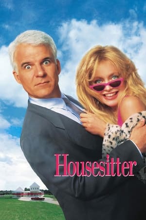 watch Housesitter