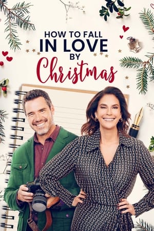 watch How to Fall in Love by Christmas