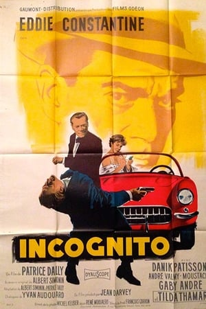 watch Incognito