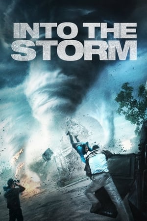 watch Into the Storm