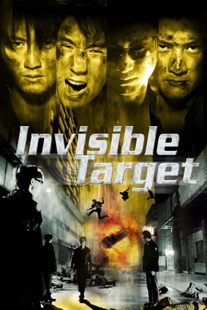 watch Invisible Target