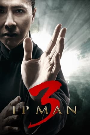 watch Ip Man 3