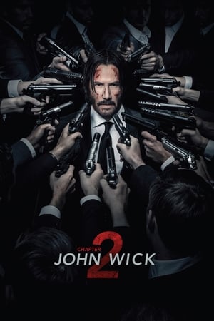 watch John Wick: Chapter 2