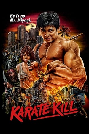 watch Karate Kill