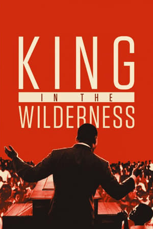 watch King in the Wilderness