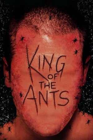 watch King of the Ants