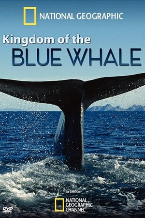 watch Kingdom of the Blue Whale