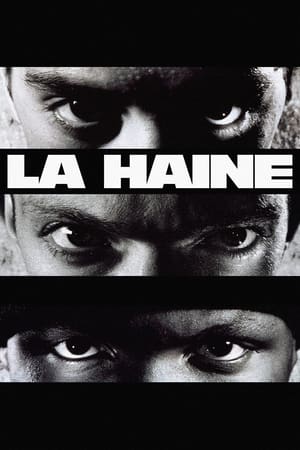 watch La Haine