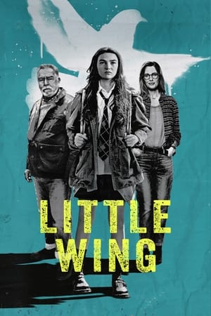 watch Little Wing