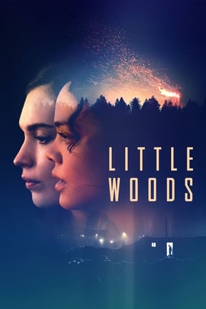 watch Little Woods