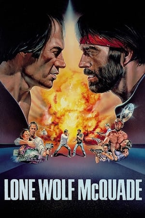 watch Lone Wolf McQuade