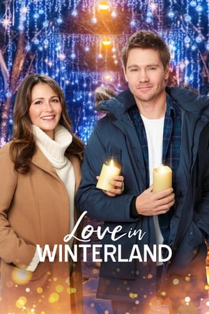 watch Love in Winterland