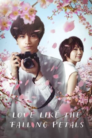 watch Love Like the Falling Petals