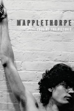 watch Mapplethorpe: Look at the Pictures