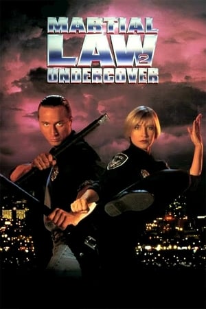 watch Martial Law II: Undercover