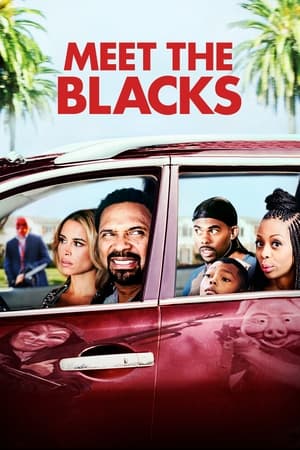 watch Meet the Blacks