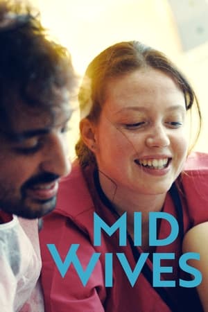 watch Midwives