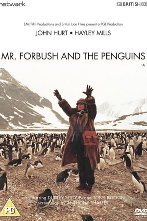 watch Mr. Forbush and the Penguins