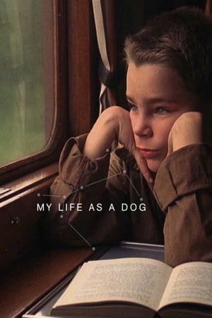 watch My Life as a Dog