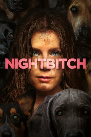 watch Nightbitch