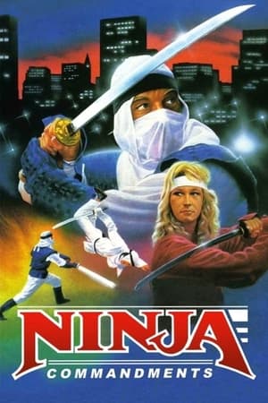 watch Ninja Commandments