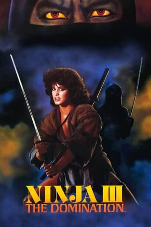 watch Ninja III: The Domination