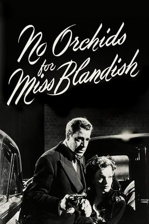 watch No Orchids for Miss Blandish