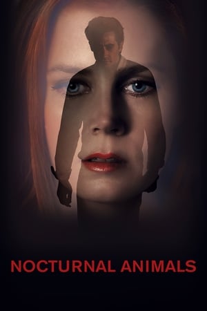 watch Nocturnal Animals