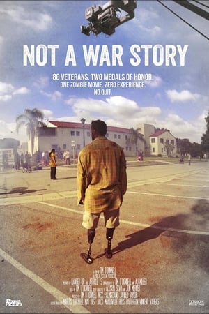 watch Not a War Story